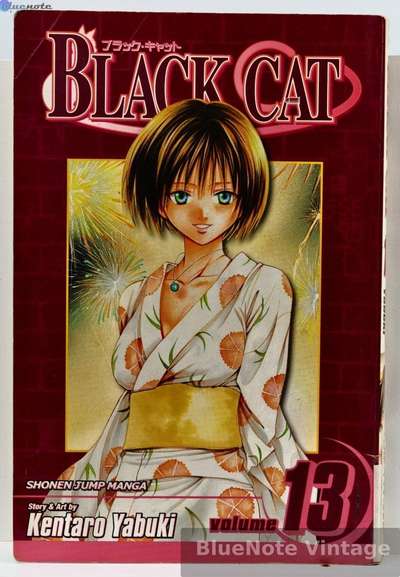 Black Cat - Vol. 13 - First Printing
