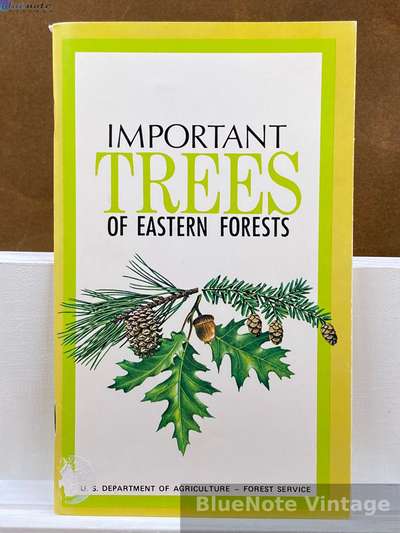 Important Trees of Eastern Forest