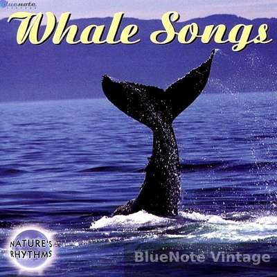 Whale Songs