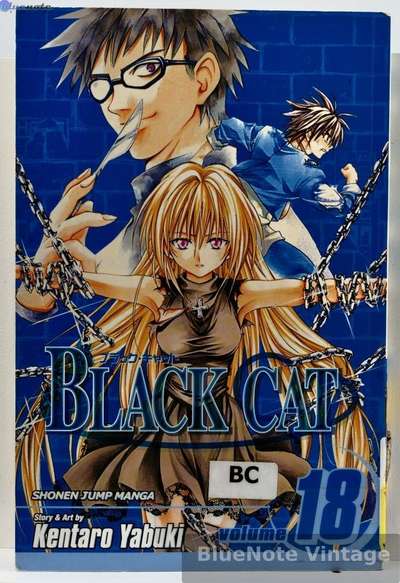 Black Cat - Vol. 18 - First Printing