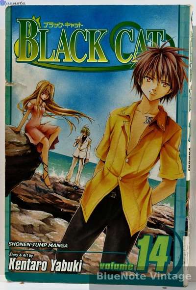 Black Cat - Vol. 14 - First Printing