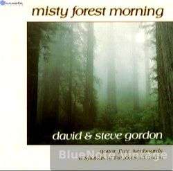Misty Forest Morning