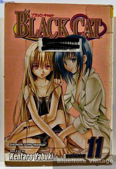Black Cat - Vol. 11 - First Printing