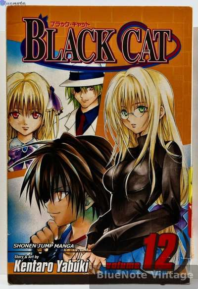 Black Cat - Vol. 12 - First Printing
